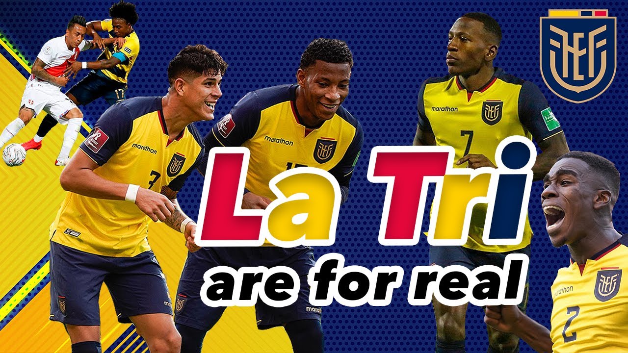 Nhận định ĐT Ecuador tại World Cup 2022 - Ảnh 1